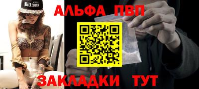 шишки Славгород