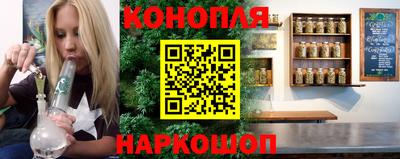 шишки Славгород