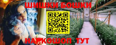 шишки Славгород