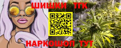 шишки Славгород