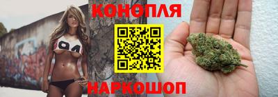 стафф Сланцы