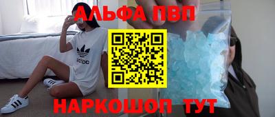 шишки Славгород