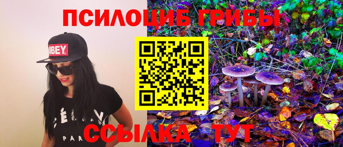 Галлюциногенные грибы Cubensis Богородск