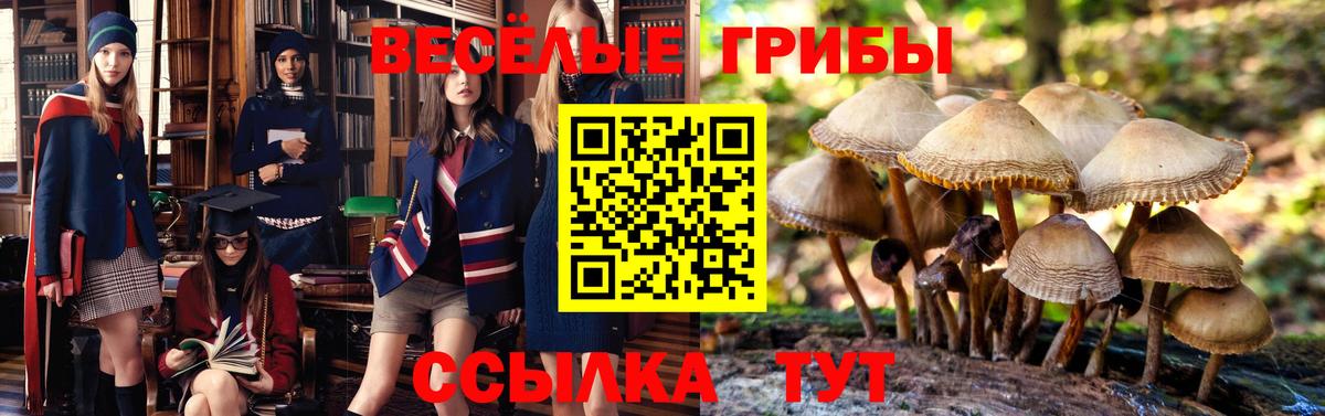 Галлюциногенные грибы ЛСД  Вход с VPN  Богородск  Псилоцибиновые грибы мухоморы 